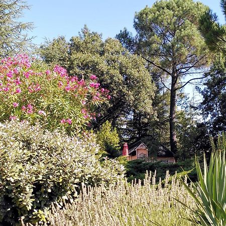 Bed and Breakfast Brin D Ardeche Lentilleres Zewnętrze zdjęcie