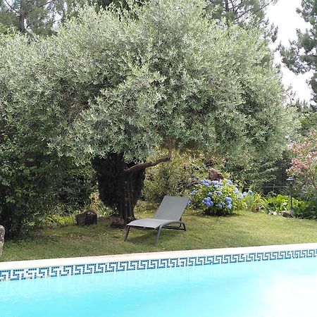 Bed and Breakfast Brin D Ardeche Lentilleres Zewnętrze zdjęcie