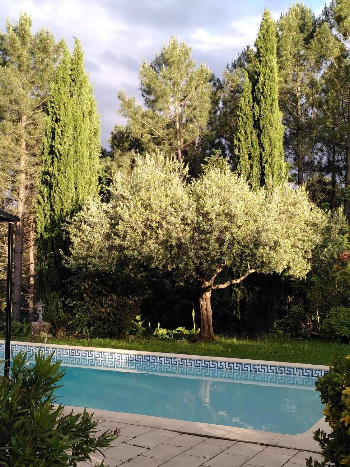 Bed and Breakfast Brin D Ardeche Lentilleres Zewnętrze zdjęcie